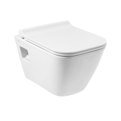 SATURN RIM-OUT WALL HUNG OPEN MOUNT. WC PAN MATT WHITE