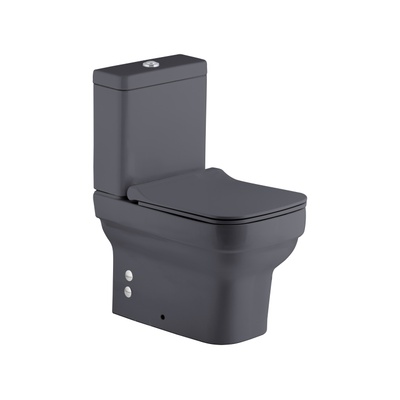 BOLD RIM-OUT BTW WC PAN BIDET FUNCTION MATT ANTHRACITE