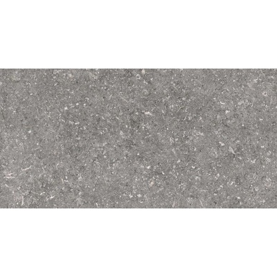 60*120 FOSSIL GRIGIO